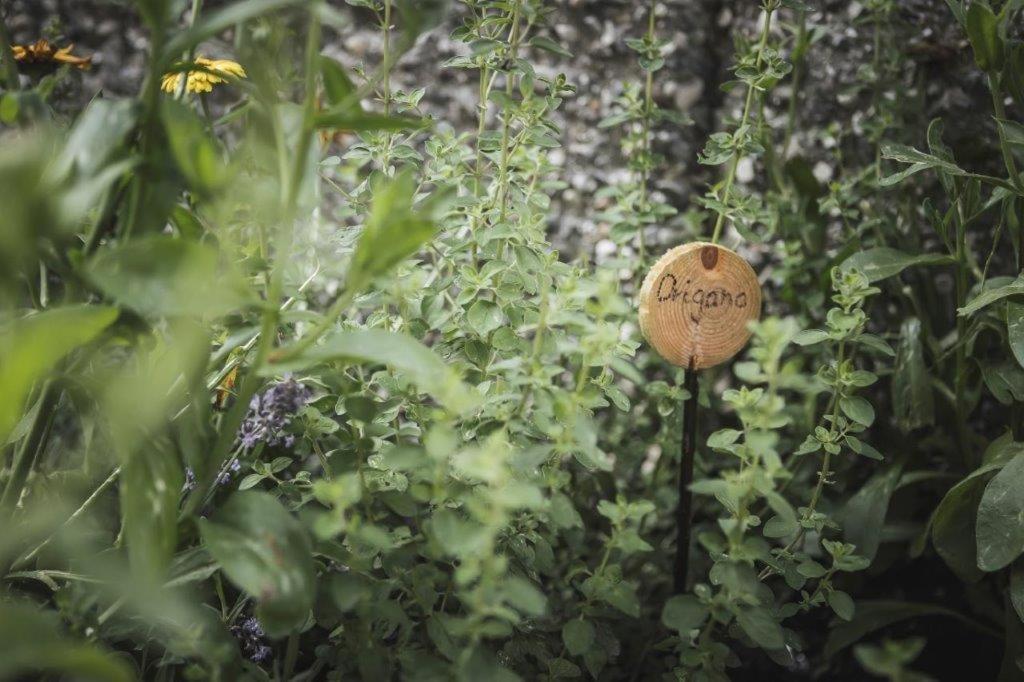 Ahrn Natur Apartment Lutago Bagian luar foto